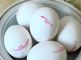В Амурской области появились в продаже куриные яйца с призывами голосовать за кандидатов в депутаты областной и городской думы, выборы которых состоятся 27 марта
