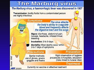 Как сообщило сегодня представительство Всемирной организации здравоохранения (ВОЗ), 9 человек, контактировавших с больным лихорадкой Марбург, выявлены и изолированы в Италии