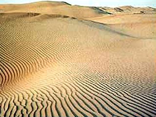 В марокканской Сахаре стартовал "Марафон в песках"