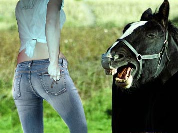 Дрессированная лошадь откусила часть ягодицы боснийской поп-певицы