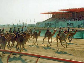 Роботы потеснят людей-жокеев на традиционных верблюжьих скачках на Аравийском полуострове. Как сообщает РИА "Новости" со ссылкой на местную газету "Аш-Шарк", правительство Катара решило поставить производство "роботов-жокеев" на поток