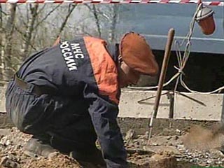 В Великом Новгороде спасатели вытащили из канализации бобра