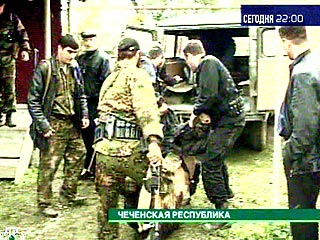 Подразделения МВД Чеченской Республики проводят адресную операцию по ликвидации участников бандгруппы в населенном пункте Серноводская вблизи административной границы между Чечней и Ингушетией
