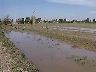 Паводок в Дагестане