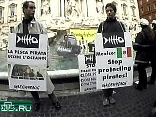 В Риме арестовали активистов экологического движения Гринпис