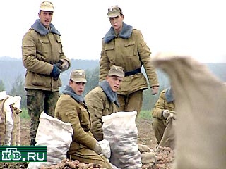 84% россиян - за создание профессиональной армии