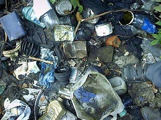 В Подмосковье с начала года обнаружено почти 150 незаконных свалок мусора