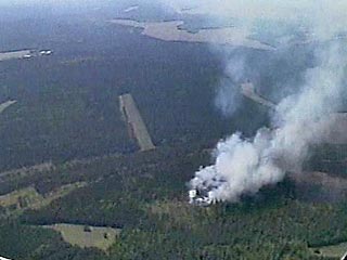 The Guardian: лесные пожары в Сибири ставят под угрозу жизнь планеты