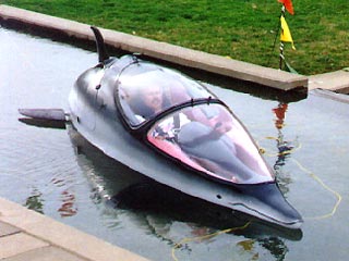 Bionic Dolphin