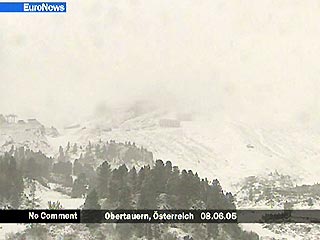 Австрию завалило 20-сантиметровым снегом