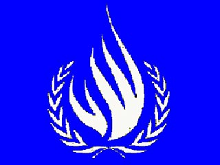Управление Верховного комиссара ООН по правам человека (УВКПЧ) направило миссию в Киргизию для расследования массовых беспорядков в узбекском городе Андижане