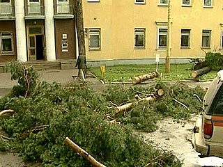 Последствия урагана в Подмосковье: 1 человек погиб, десятки домов остаются без электричества