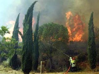 На Лазурном берегу Франции тысячи туристов эвакуированы из-за лесного пожара