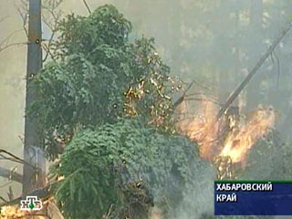 Самая опасная на востоке страны пожароопасная ситуация сложилась в Якутии