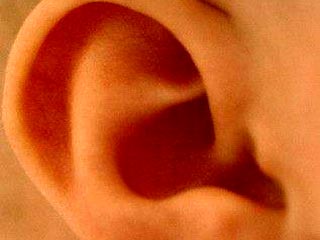 Британцы разработали новый метод идентификации по форме ушей