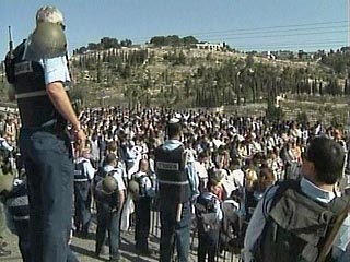 Чтобы заставить еврейских поселенцев покинуть свои дома в Гуш-Катифе, израильская полиция готовится применить все имеющиеся в ее распоряжении средства, включая клетки, которые использовались во время эвакуации жителей Ямита