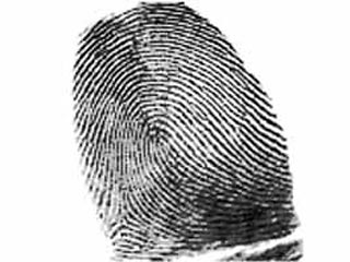 В Нижнем Тагиле убийцу двух женщин нашли по отпечаткам пальцев