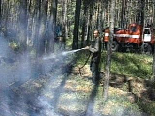 Площадь пожаров в Иркутской области достигла максимума с начала сезона