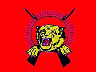 "Тигры освобождения "Тамил илама" заявили о непричастности к убийству главы МИД Шри-Ланки