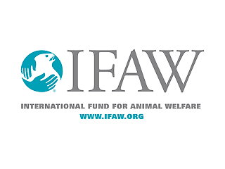 Международный фонд охраны животных (IFAW) в своем докладе под названием "В плену сети" заявляет, что в интернете процветает незаконная торговля животными