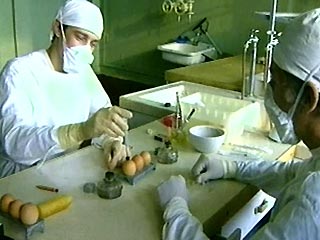 В Тверской области усилены меры по предотвращению "птичьего гриппа", сообщили "Интерфаксу" в пресс- центре областной администрации
