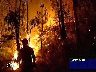 С начала 2005 года 15 человек погибли в Португалии из-за лесных пожаров, сообщают местные пожарные. В понедельник вечером они обнаружили в центральной части страны обугленный труп 88-летней женщины, которую до недавних пор считали пропавшей без вести