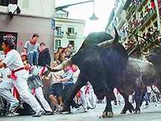 Во время забега с быками в испанском городе Сан-Себастьян-де-лос-Рейес ранены 63 человека