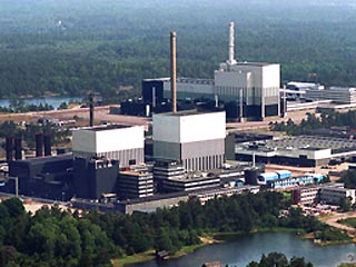 На АЭС в Швеции остановили реактор из-за скопления медуз в системе охлаждения