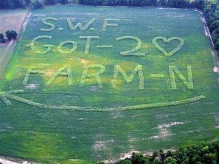 Американский фермер, написавший на поле объявление о знакомстве, получил более 700 ответов