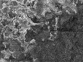 На радиолокационных снимках, сделанных аппаратом Cassini, который 7 сентября в восьмой раз близко подошел к спутнику, вполне отчетливо можно различить береговую линию и идущие к ней извилистые каналы, сообщает New Scientist