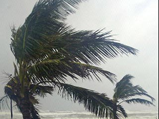 Урагану "Рита" во вторник присвоена уже вторая категория по шкале Саффира-Симпсона (максимальный балл в которой - 5). Соответствующие данные предоставлены Центром предупреждений ураганов США в Майами