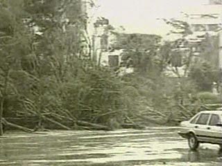 Мощный тайфун "Дамри" обрушился на Вьетнам