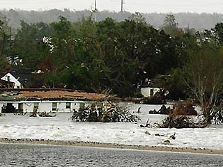 Число жертв урагана "Риты" выросло до 9 человек