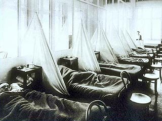 Эпидемия "испанки", унесшая 50 миллионов жизней в 1918 году, была вызвана вирусом "птичьего гриппа", получившим возможность передаваться от человека к человеку