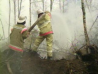 В воскресенье 6-тикилометровая огненная полоса приблизилась к Бакшеевскому лесничеству, расположенному в Шатурском районе. Из-за торфяных пожаров в Московской области резко ухудшилась экологическая обстановка в самой столице