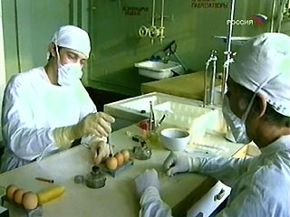 "Птичий грипп" остался всего в одном населенном пункте России