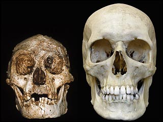 Профессор Майк Морвуд из Университета Новой Англии в австралийском городе Армидейл взбудоражил научный мир в прошлом году, когда объявил, что он и его коллеги обнаружили останки неизвестного ранее вида людей, который он окрестил Homo floresiensis
