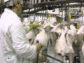 Постоянный комитет Евросоюза по продовольствию и здоровью животных рекомендовал в четверг Еврокомиссии запретить импорт странами-членами ЕС домашней птицы из России