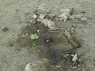 В Назрановском муниципальном округе Насыр-Корт рядом с федеральной трассой "Кавказ" взорвано неустановленное взрывное устройство, пострадавших нет