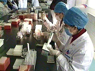 Пандемия "птичьего гриппа" начнется в Африке в ближайшее время, считают ученые