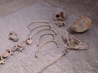 Исследуя пещеру, спелеологи обнаружили скелет мужчины, курительную трубку и несколько старых монет. Поскольку самые новые из них были выпущены в 1913 году, полицейским удалось быстро установить примерную дату смерти
