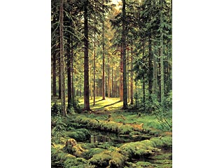 Главным лотом считается картина "Лес" Ивана Шишкина, датированная 1889 годом. Ожидается, что ее цена составит около 350 тысяч фунтов