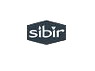 Суд Британских Виргинских островов отклонил иск Sibir Energy к "Сибнефти" и Абрамовичу