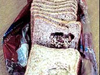 В Британии суд оштрафовал пекарню, продавшую хлеб с дохлыми мышами внутри