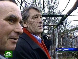 "Птичий грипп" на Украине: Ющенко поехал в Крым, падеж птицы прекратился