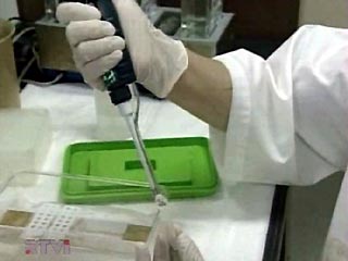 От "птичьего гриппа" в Таиланде умер пятилетний ребенок