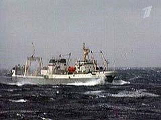 МИД РФ предпринимает меры для освобождения задержанного в КНДР российского судна "Терней"
