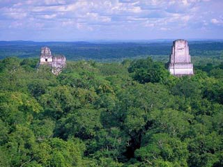 На руинах древнего индейского города в непролазной сельве в Гватемале ученые сделали открытие, которое может совершить революцию в изучении искусства цивилизации майя
