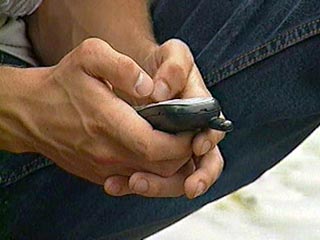 В Орле двое милиционеров похитили мобильный телефон у прохожего