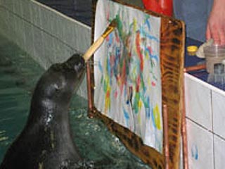 В Иркутске открылась персональная выставка картин, написанных нерпой